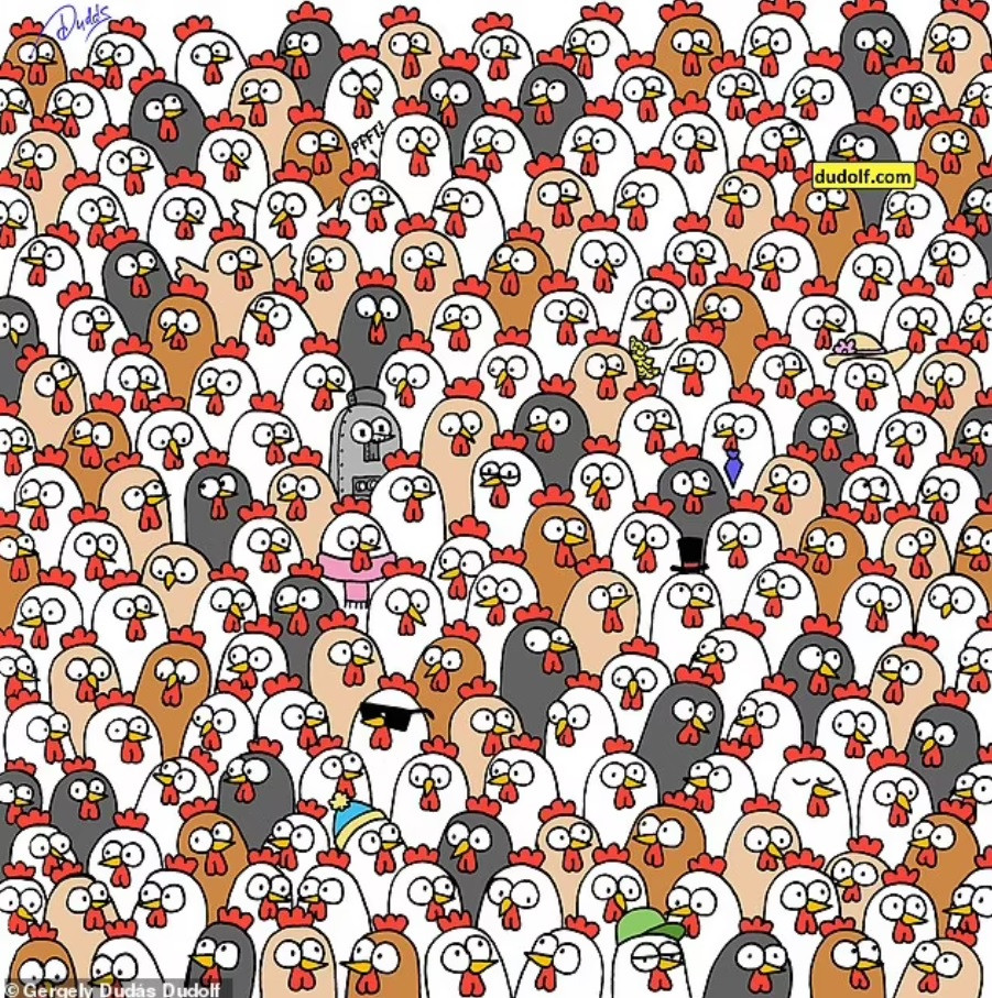 Testul pe care puțini oameni îl rezolvă. Găsește bufnițele ascunse printre găini în doar 15 secunde!