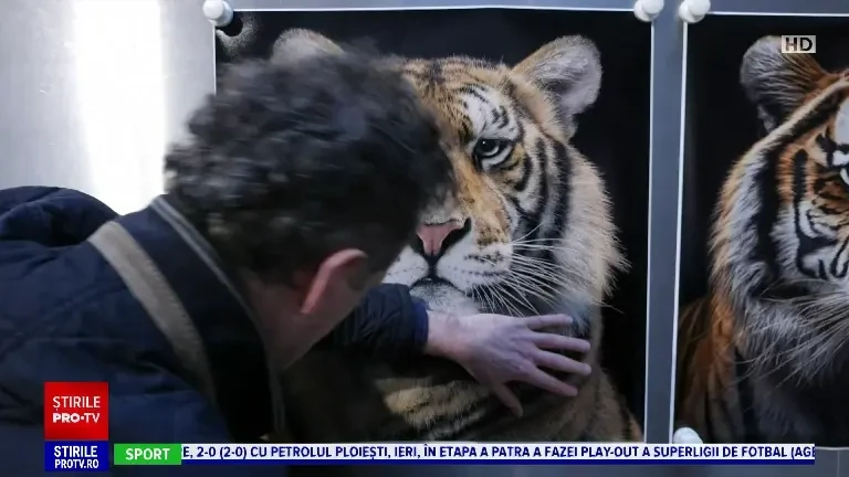 Fotografii din Marea Britanie fac presiuni pentru ca Guvernul să reglementeze softurile bazate pe AI