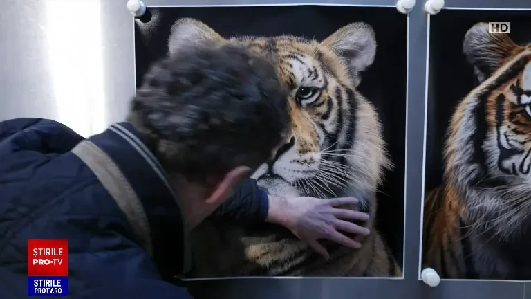 Arta generată de inteligența artificială va fi restricționată în Marea Britanie. Guvernul pregătește un cod