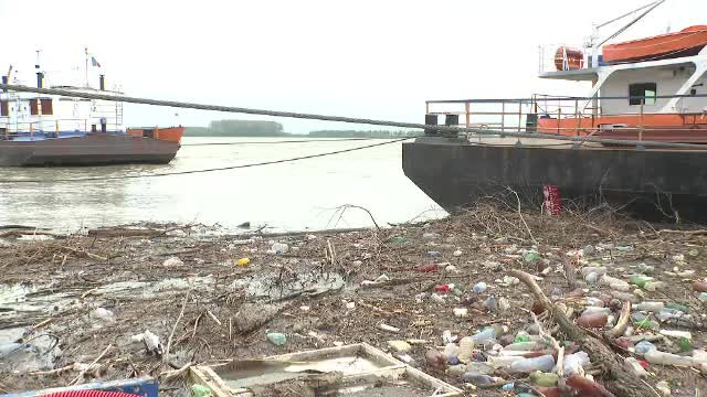 Faleza Dunării din Galați începe să arate ca o groapă de gunoi. Tone de deșeuri au fost aduse de apă la mal