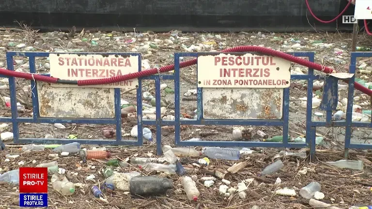 Faleza Dunării din Galați începe să arate ca o groapă de gunoi. Tone de deșeuri au fost aduse de apă la mal