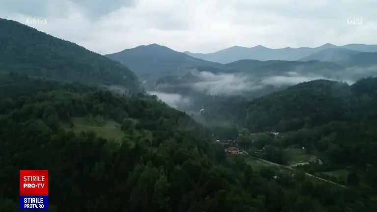 PE a adoptat o lege împotriva despăduririlor. Produsele vor putea fi vândute în UE doar dacă nu provin din defrişări