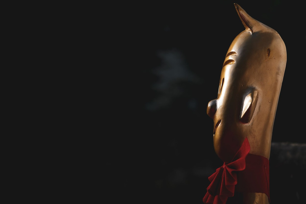 Premiile Gopo 2023. Record absolut: 37 de lungmetraje au intrat în concurs