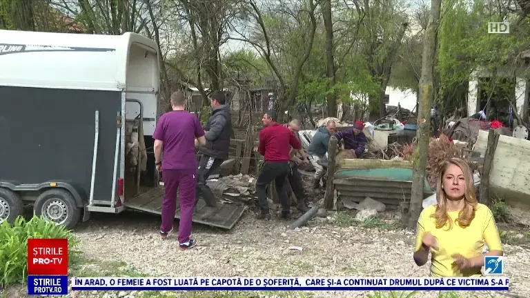 Disperarea unor oameni care nu mai puteau să respire din cauza unor animale crescute în condiții insalubre