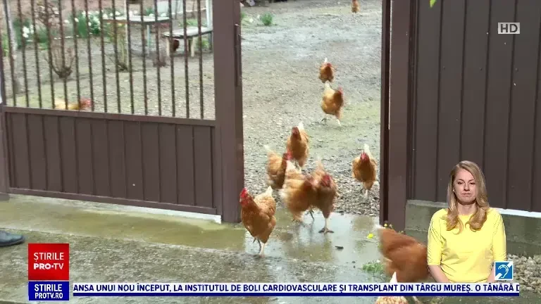 Românii au cheltuit cu aproape 50% mai mult pe alimente față de 2017. Analiștii dau vina pe inflație