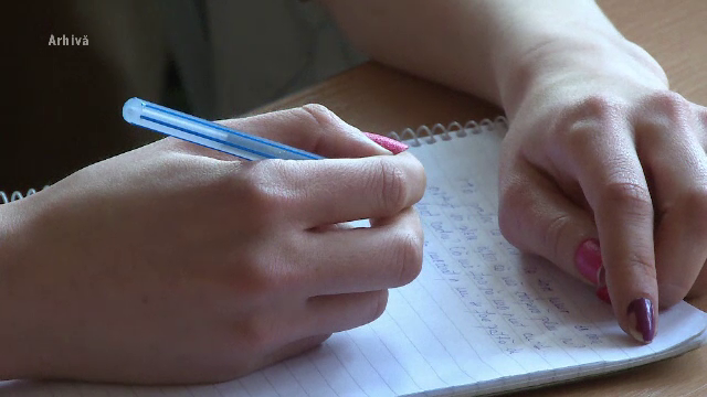 Firme care vând lucrări de licență în rate, cu 10 garantat. Chipurile, oferă consultanță