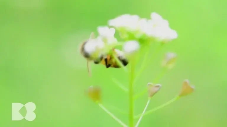 Soluția simplă pentru a reduce riscul unui AVC cu 50%. Medic: Nu există niciun medicament la fel de eficient