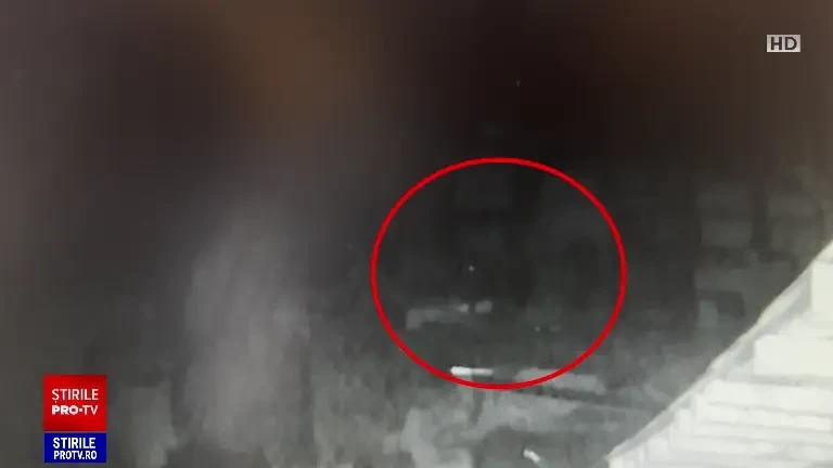 Teroare într-o comună sibiană. Nici măcar gardurile electrice nu-l împiedică pe un urs să ucidă animalele oamenilor