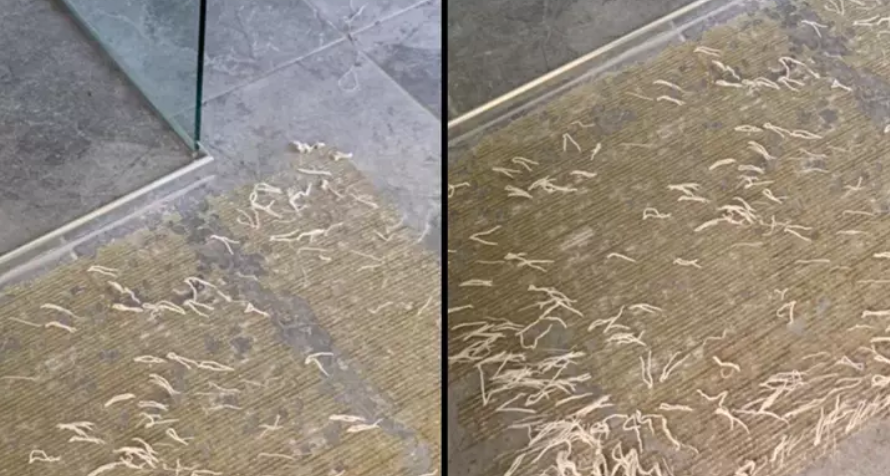 O femeie cere ajutor online după ce a făcut o descoperire „îngrozitoare” în baie. Ce a găsit de fapt