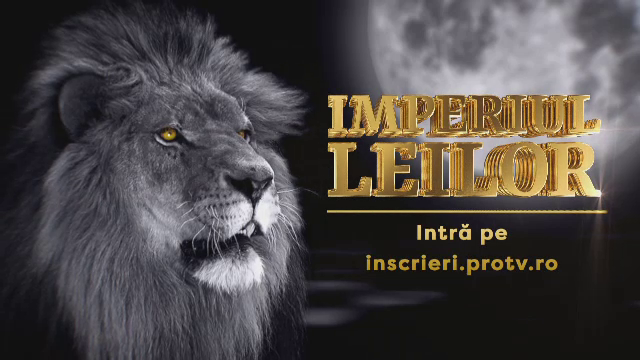 VIDEO Imperiul Leilor revine din 28 august pe PRO TV și VOYO cu sezonul 4. Primele imagini din noul sezon