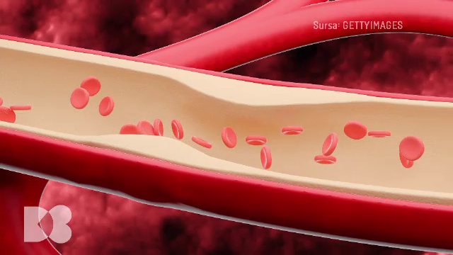 Ce au în comun arterele și venele și cum ajută mersul pe jos la circulația sângelui