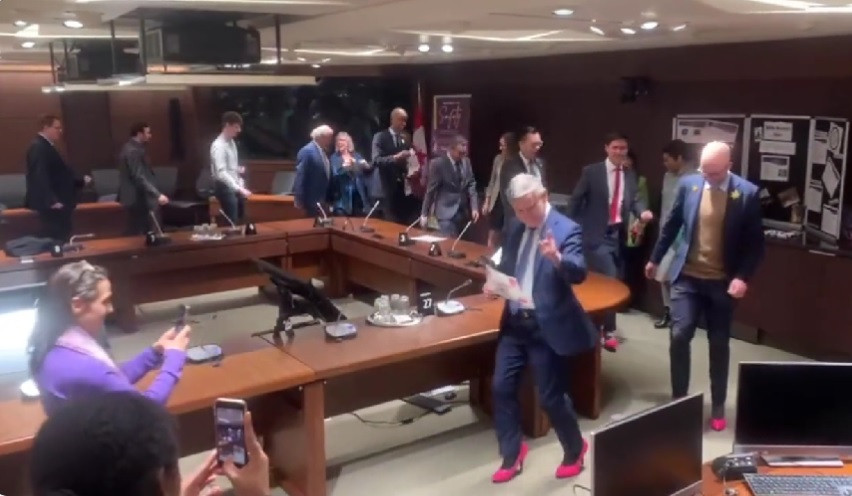 Motivul pentru care mai mulți politicieni din Canada au defilat în pantofi roz cu toc. „Este pur şi simplu ridicol". VIDEO