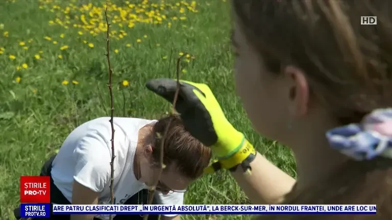 Aproximativ 2.000 de copaci au fost plantați în zona în care campează, an de an, fanii Electric Castle