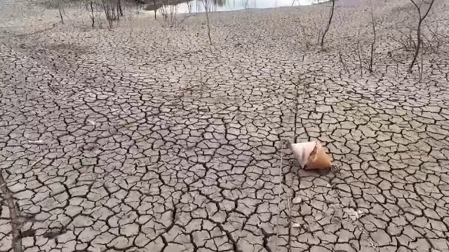 Secetă extremă în Spania și Italia. Românii din diaspora sunt îngrijorați de scumpirile care vor urma