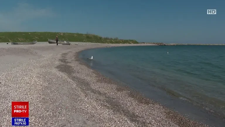 Cantitatea de pește capturată din Marea Neagră a scăzut dramatic din cauza minelor și a exercițiilor militare