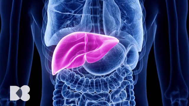 După o masă copioasă nu medicamentele sunt soluția, ci mișcarea și pauza alimentară. Medicii vin cu explicații