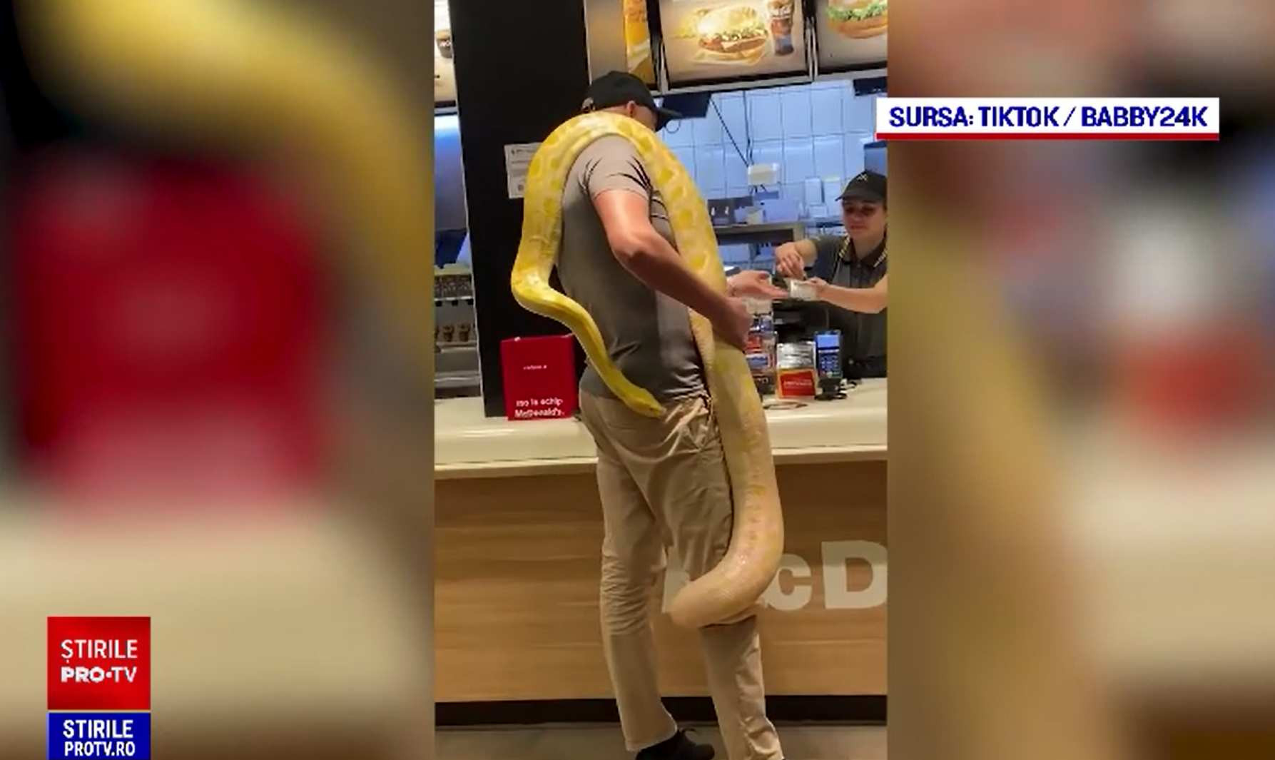 Cu pitonul de gât, la fast-food. Apariție înfiorătoare într-un local din România