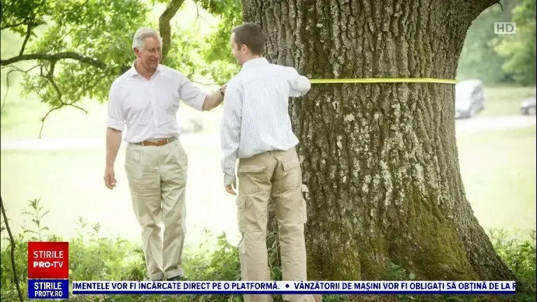 Arborii seculari, de acum protejați de lege. Criteriile de stabilire pentru arborii remarcabili