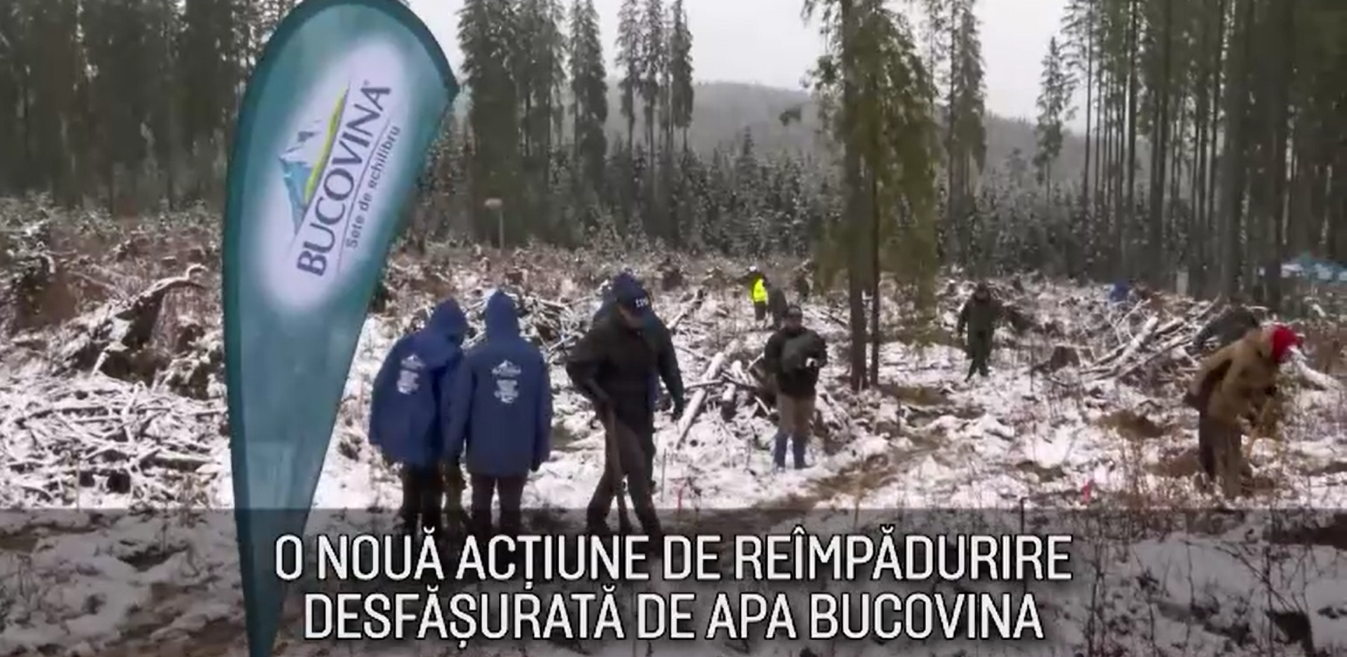 (P) Maspex Romania a realizat o nouă acțiune de reîmpădurire în Ținutul Echilibrului – Bucovina