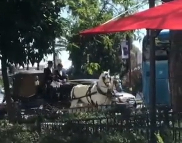 Un cal a murit de căldură în timp ce era înhămat la o caleașcă, în Sevilla. VIDEO