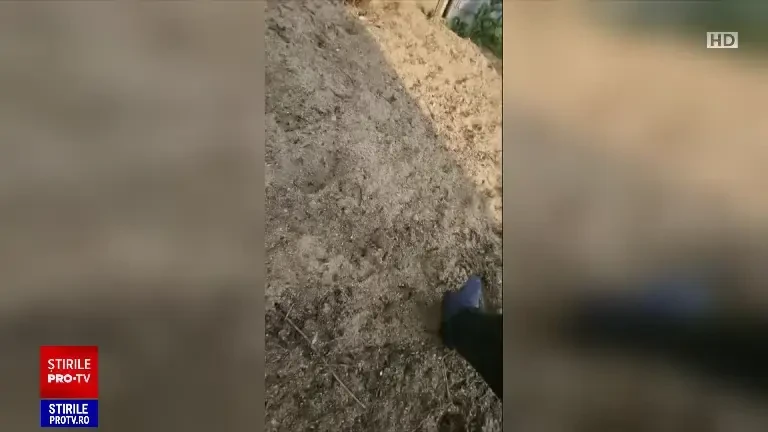 Bătaie cu bâte și bolovani în Dâmbovița. Un adolescent s-a ales cu răni la cap, iar o casă și o mașină au fost avariate