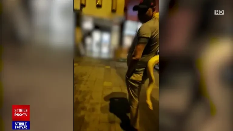 Mărturisirea bărbatului care a intrat cu șarpele „Carmen” în restaurant. De ce nu l-a lăsat în mașină