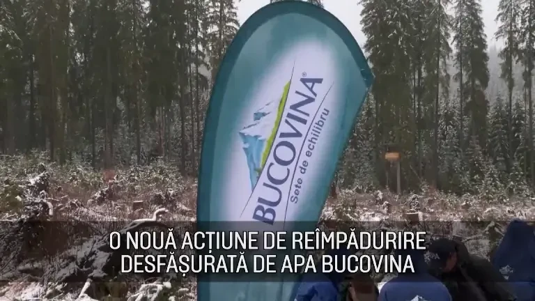 Maspex Romania a realizat o nouă acțiune de reîmpădurire în Ținutul Echilibrului – Bucovina