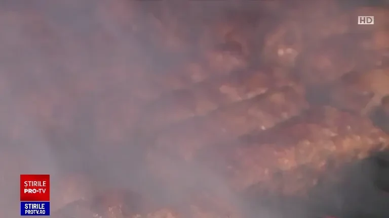 Secretul micilor delicioși. Ce trebuie să faci înainte de a-i pune pe grătar