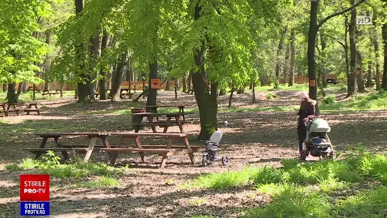 Distracția are prețul ei. Cât costă să faci grătar de 1 Mai în pădurea Cernica