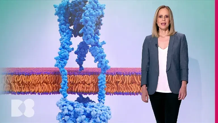 Inflamația, un simptom deranjant pentru mulți dintre noi. Ce înseamnă și cum o putem vindeca