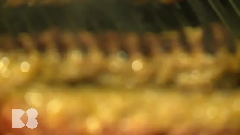 De ce nu este bine să preparăm carnea direct pe grătar. Arsura poate fi toxică