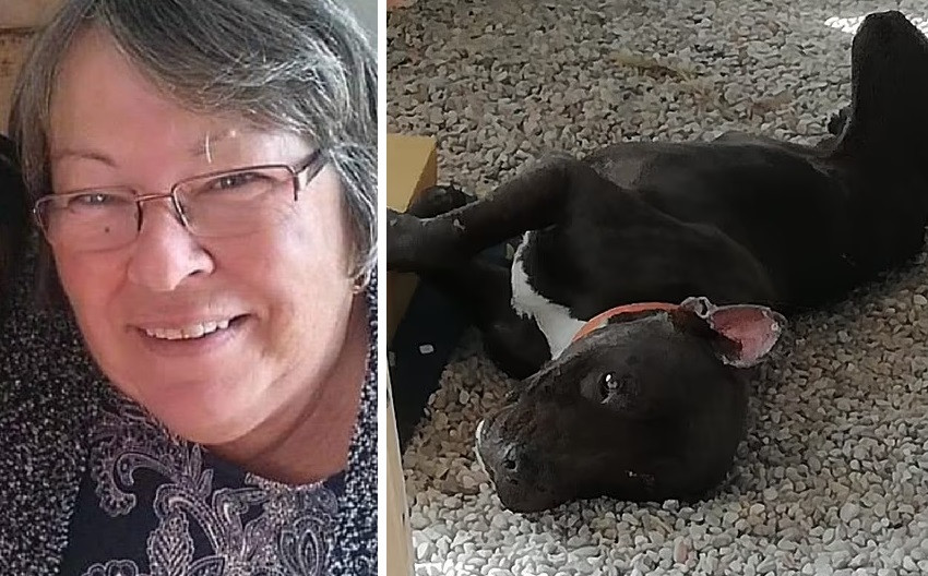 Femeie ucisă de câinele pe care l-a adoptat de pe stradă. Veterinarul a avertizat-o că este o rasă periculoasă