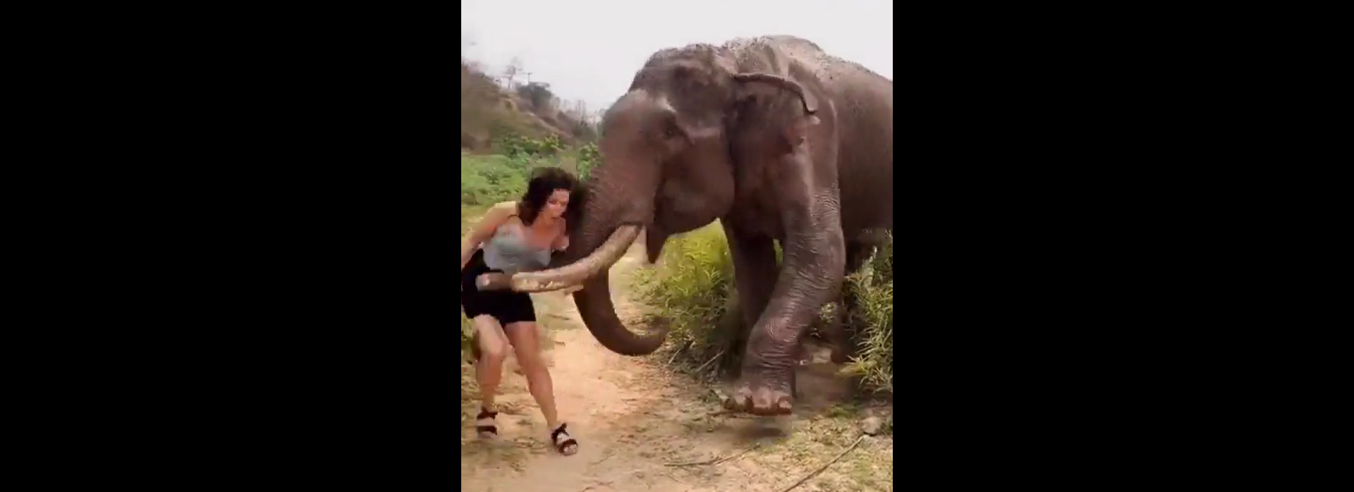 Momentul șocant în care o femeie este zdrobită de un elefant furios după ce l-a tachinat cu o banană | Video