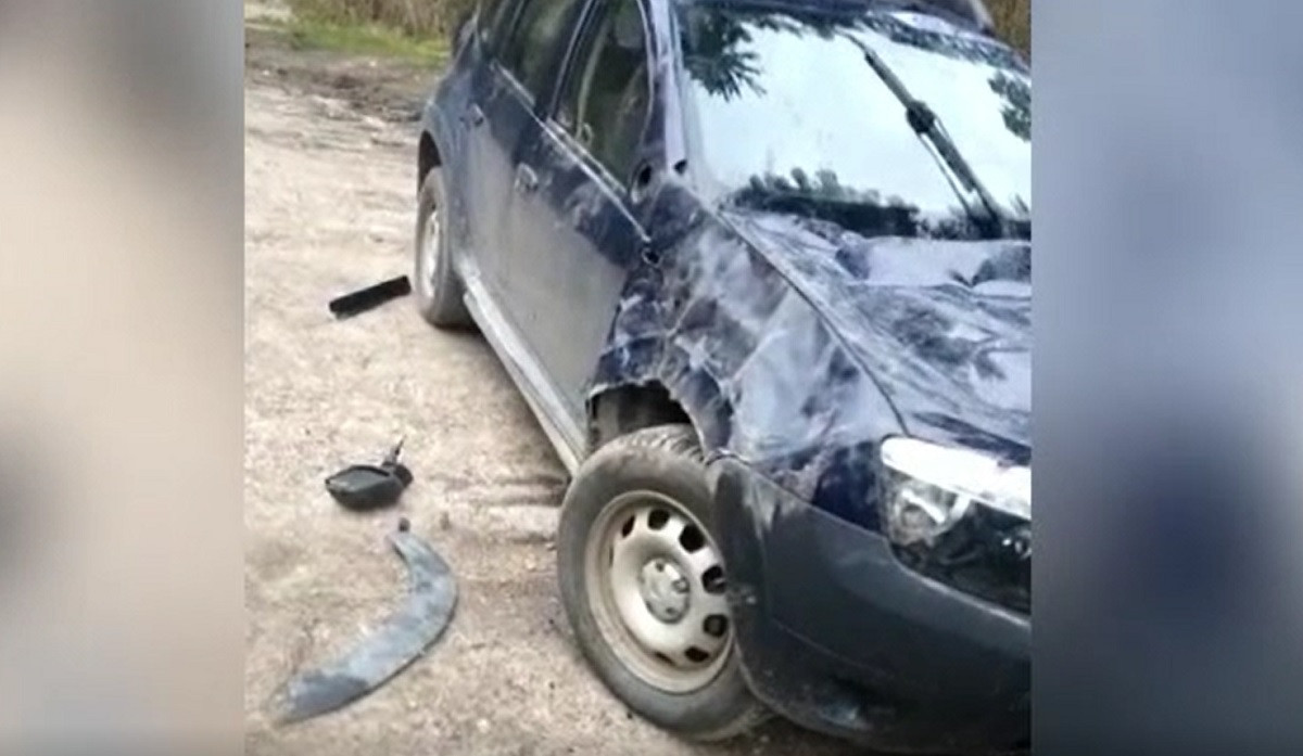 Alertă în Munții Bucegi. Maşina unui cabanier a fost distrusă de un urs. "S-a văzut în geamuri și s-a jucat"