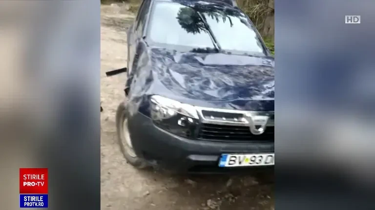 Alertă în Munții Bucegi. Maşina unui cabanier a fost distrusă de un urs. "S-a văzut în geamuri și s-a jucat"