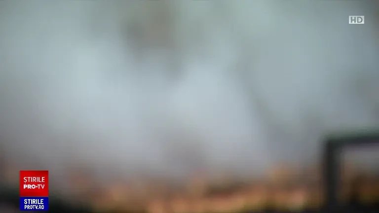 Unde găsim cei mai buni mici din București. Sunt clienți care vin din alte orașe. "Aproape săptămânal mănânc aici"