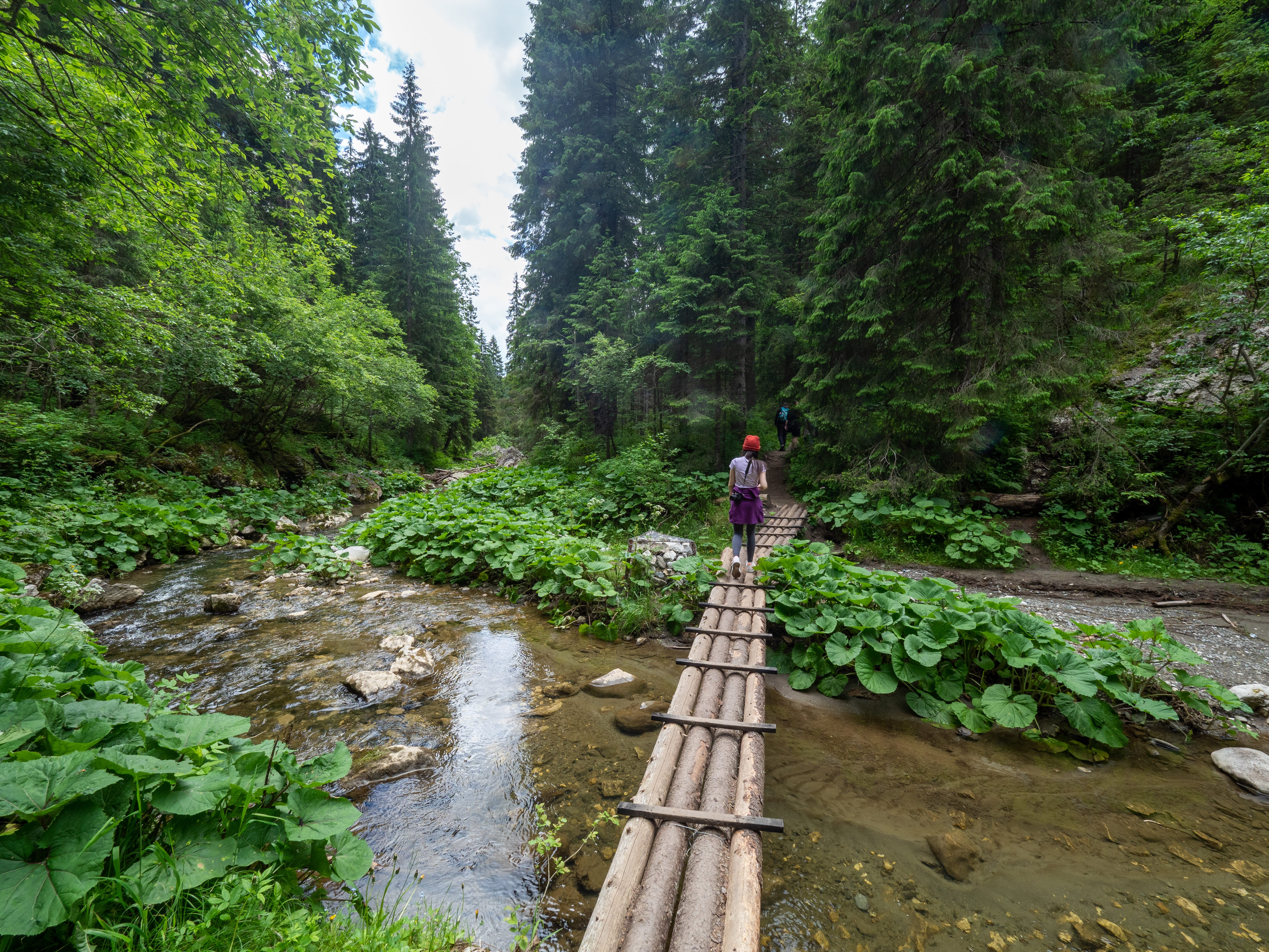 Obiective turistice in Dambovita
