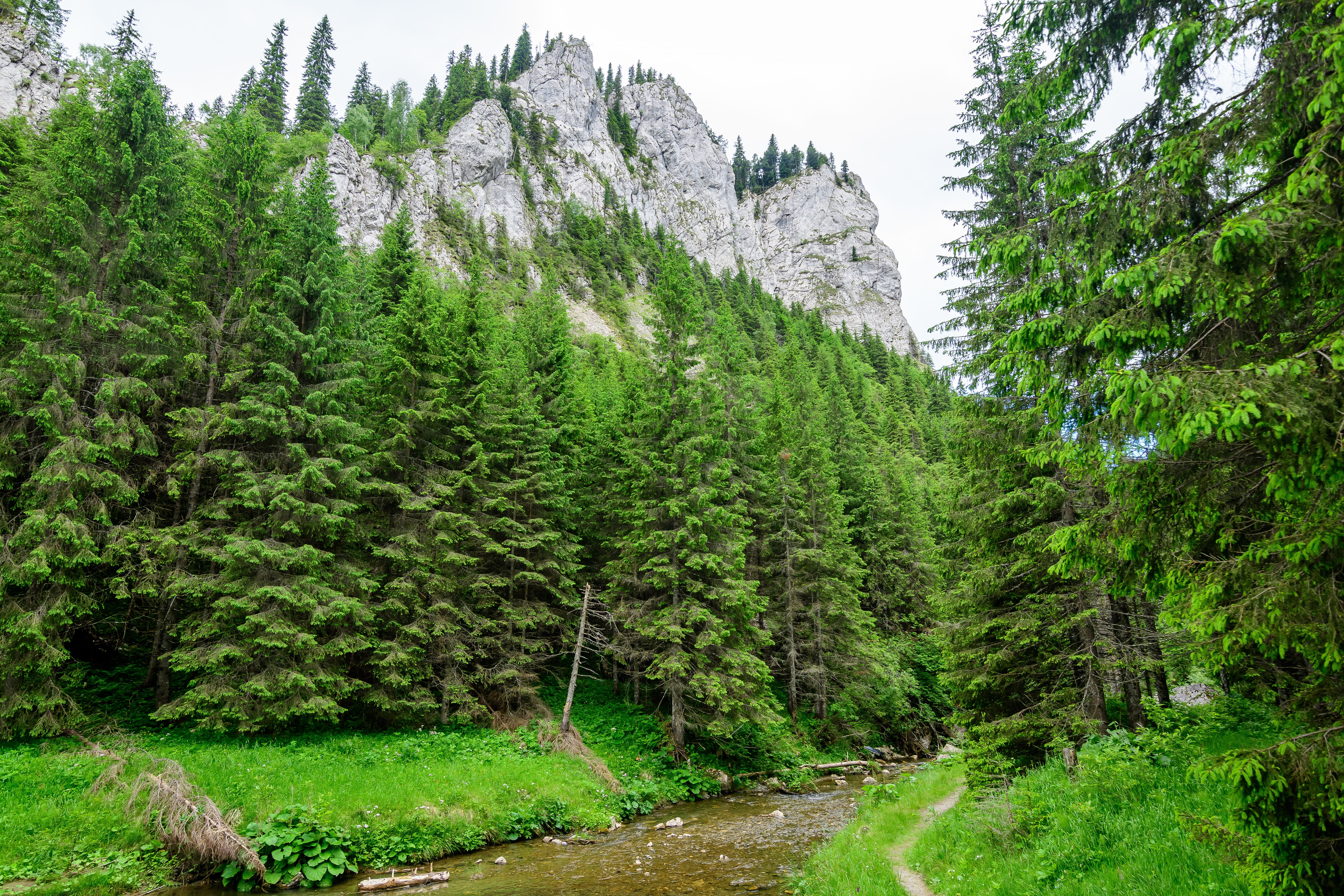 Obiective turistice in Dambovita