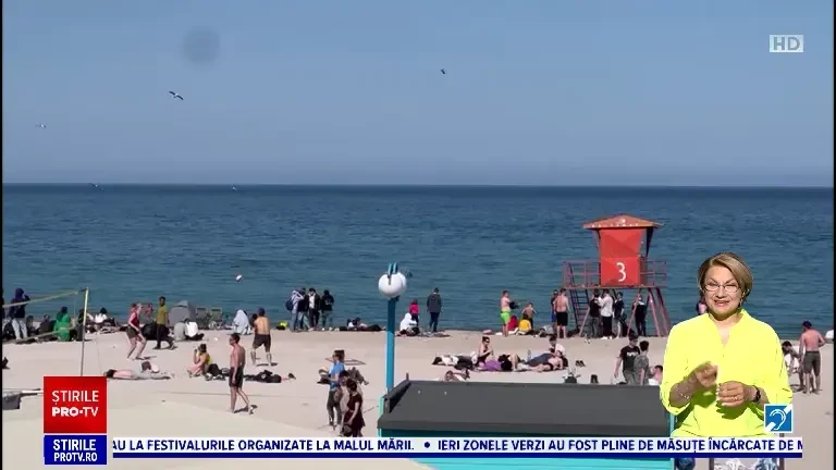 Imagini rare pe litoral. Cinci delfini au făcut spectacol pe plaja din Vama Veche, spre încântarea turiștilor
