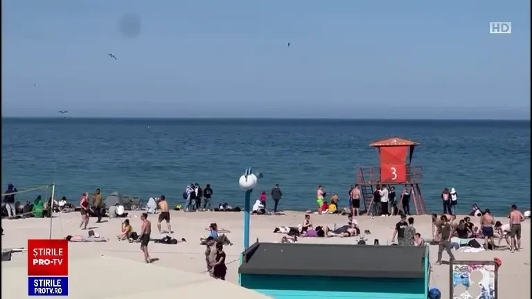 Imagini rare pe litoral. Cinci delfini au făcut spectacol pe plaja din Vama Veche, spre încântarea turiștilor