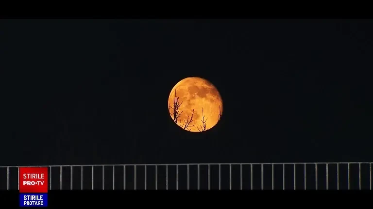 Evenimente de top din sportul intern și internațional pe VOYO: Gala Mihai Neșu + Maraton handbalistic