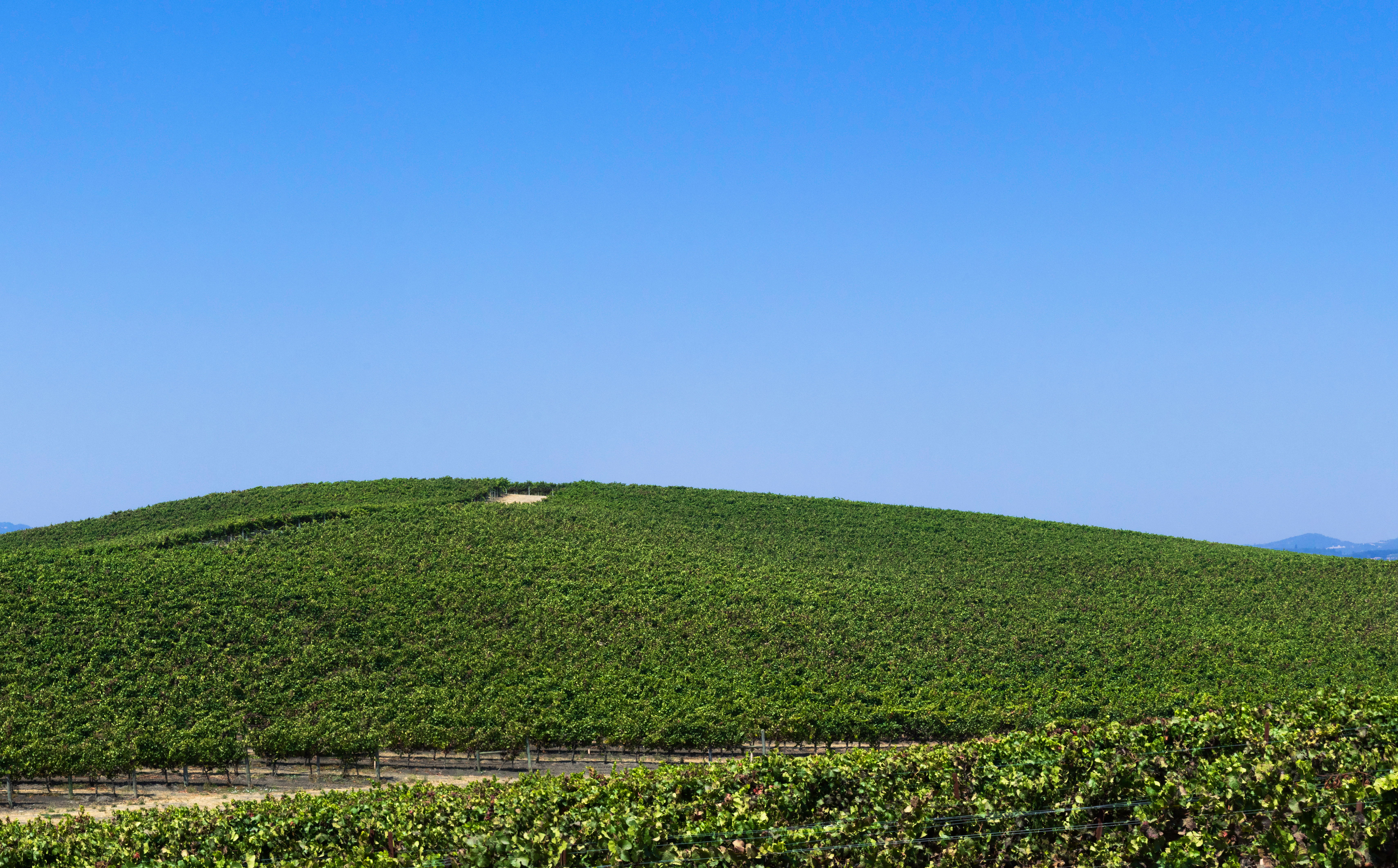 Unde se află, de fapt, celebrul peisaj din imaginea Windows. Fotografia este needitată | FOTO