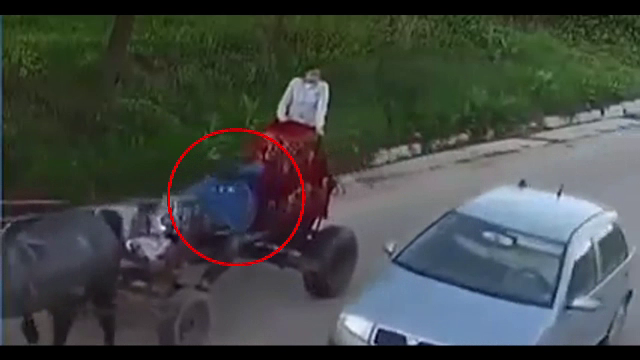Gestul uluitor făcut de pasagerul unei mașini, când a trecut pe lângă o căruță cu două fetițe de 3 și 7 ani. VIDEO
