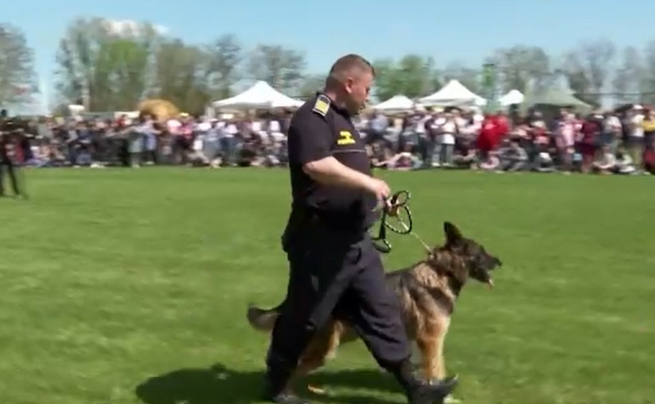 Animal Fest, organizat la Iași. Câinii polițiști, preferații copiilor prezenți la eveniment