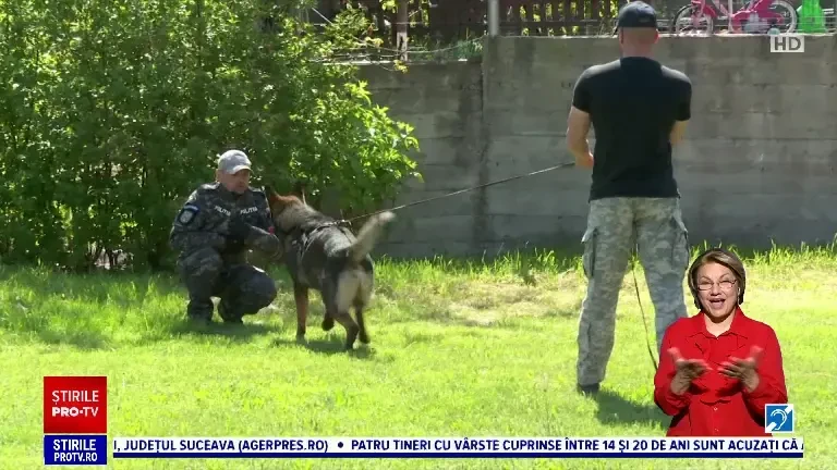 Animal Fest, organizat la Iași. Câinii polițiști, preferații copiilor prezenți la eveniment