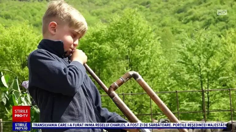 Ciobanii au început „Măsurișul orilor” înainte de a-și urca mioarele pe munte. Cum este celebrată tradiția
