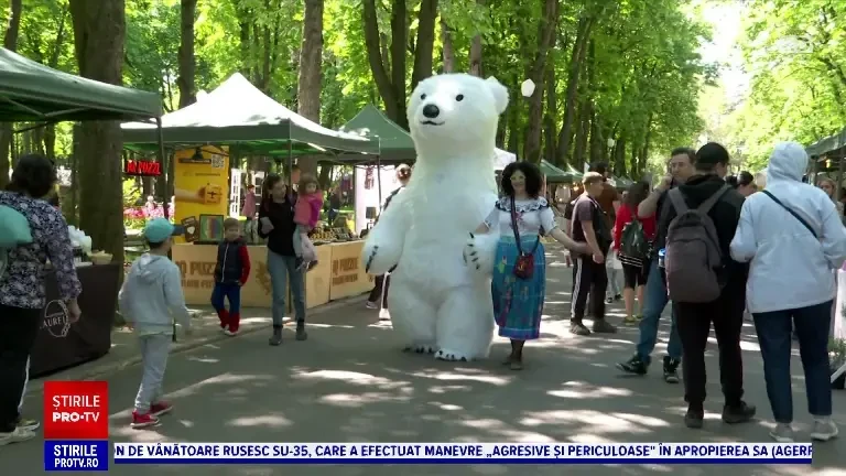 „Aurul mov” a ajuns la Iași. Festivalul lavandei, organizat în Parcul Expoziției