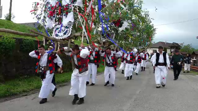 Tânjaua Hotenarilor, obiceiul din Maramureș care atrage turiști din toată lumea. ”După 5 pahare, ziua a trecut foarte repede”