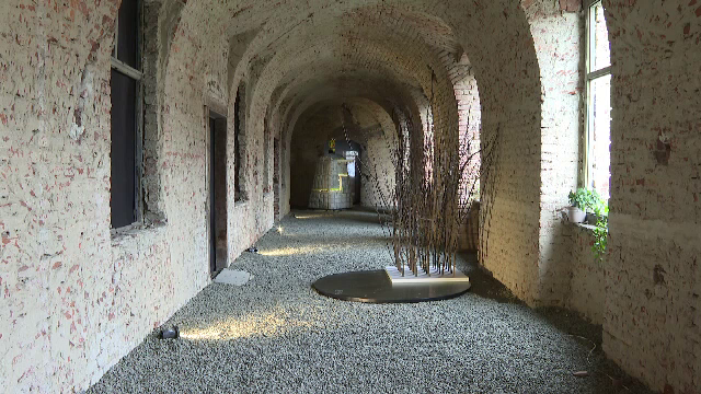 O clădire istorică din Timișoara ajunsă ruină prinde din nou viață în Capitala Europeană a Culturii