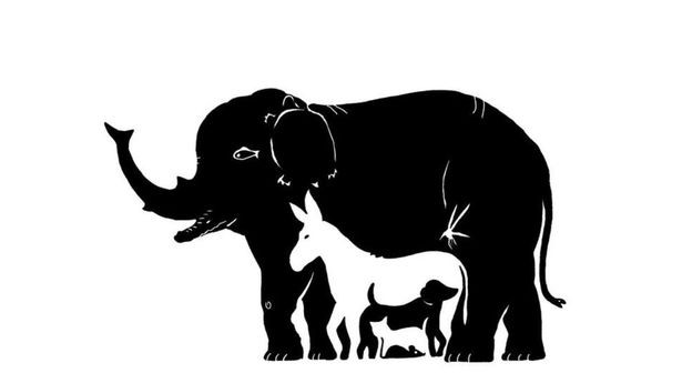 Iluzia optică ce dă bătăi de cap internauților. Reușești să găsești cele 13 animale în mai puțin de 20 de secunde?